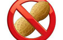 discord mod của svv này
