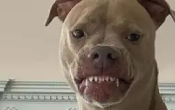 !@#$%^&*