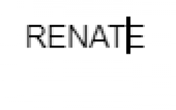 RELEVANCE AN DER FEIER