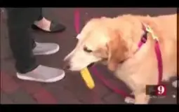 yrhtdtyydnr