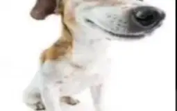Momazos