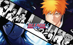 bleach captain