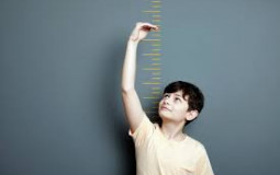 Height Tier List