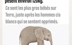 Debat slack/les femmes a 42