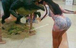 OS MELHORES HUMORES