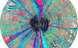 LSD Trip: Chapter II