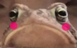 hgrtjtryjtyr