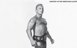 WWE Champions