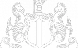 NUFC PLAYERS REVIEW 2019/20