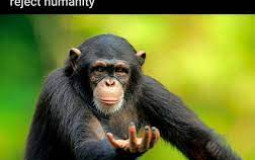 RETURN TO MONKE