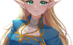 Nintendo Waifus