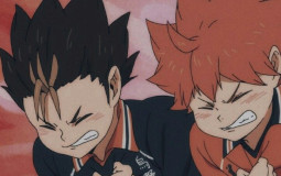 Haikyuu characters (karasuno and nekoma)