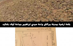 تقييم اشهر اليوتيوبز المغاربة... ستصدم من الترتيب