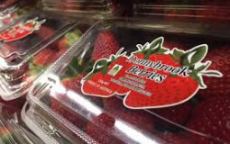 Strawberry brands