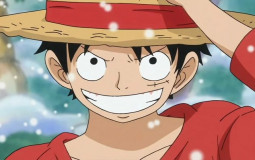 Arcos de one piece