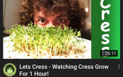 lets cress videos