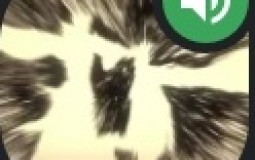 Tier list mec chelou du serv