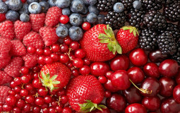 Berry Showdown