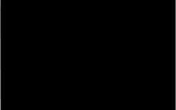 Ignore