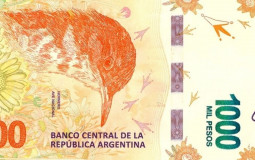 PESOS ARGENTINOS