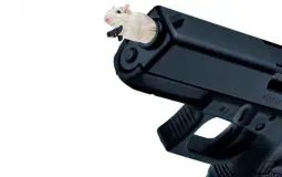 Le zoo serveur discord