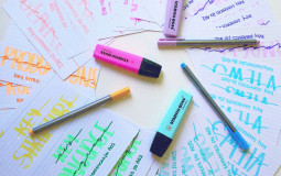 Revision Strategies