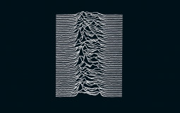 Joy division