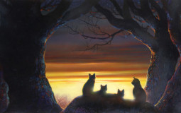 Warrior Cats Book Rankings
