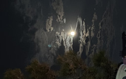 С