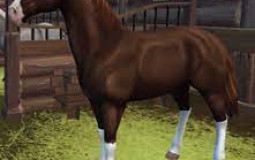 ranking my horses in sso