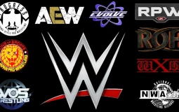 Wrestling games and companies