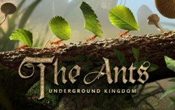 Commandant The Ants