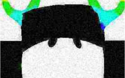 XD