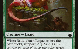 Lizards Ranked