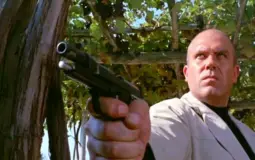 Fernando Di Leo's Movies, from Best to Worst