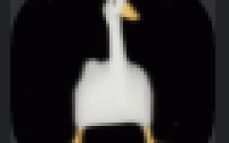 Pe de pato