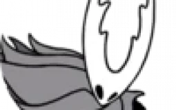 Hollow knight