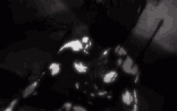Gon amv's