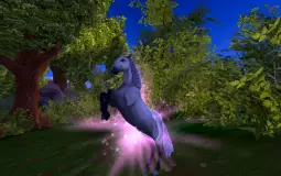 my sos horses