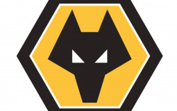 Wolves 2019-20