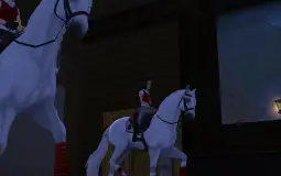 horse