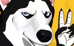 Dog's Yeah
