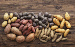 Potato Tier List