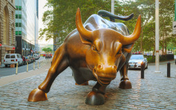 Wall Street feeder schools