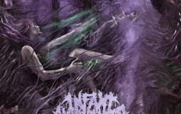 Infant Annihilator Albums/EPs