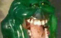 Nível de toxidade dos + Imundos