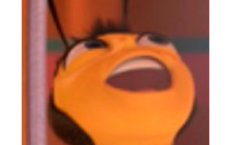 Everything in YBA