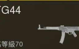 Vanguard Weapon in Warzone