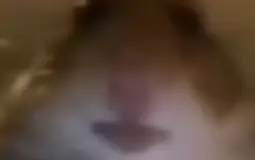 Lutik