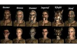 Skyrim Races